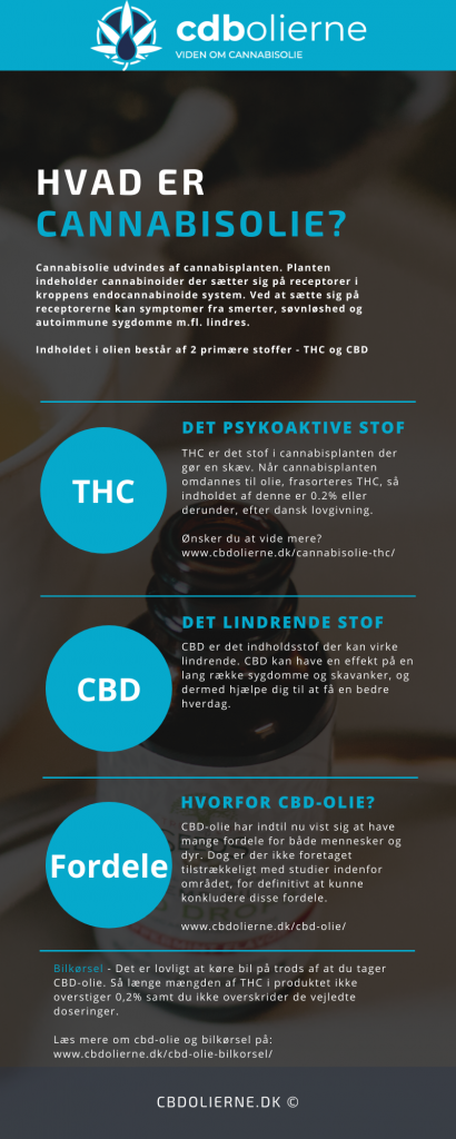 CBD-olie infographic