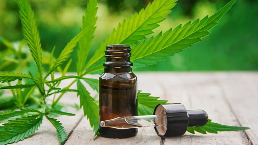 cbd olja