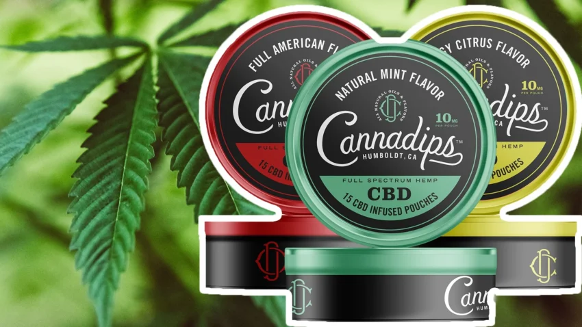 cbd och snus online
